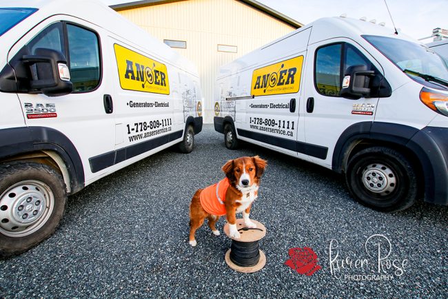 ANSER Power Systems Mascot ANSER Power Systems Mascot