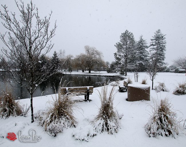 Sardis Park – Winter 2019 Sardis Park - Winter 2019