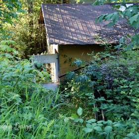Abandoned Shed - Rosedale