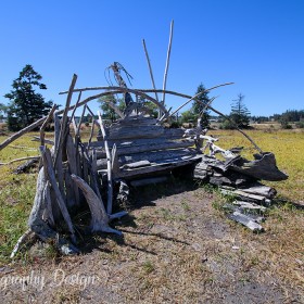 Driftwood Chair - Anacortes WA