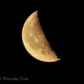 Half moon