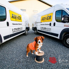 ANSER Power Systems Mascot