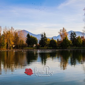Sardis Park - Fall 2019