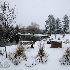 Sardis Park - Winter 2019